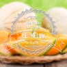 E-liquide Melon by vincent dans les vapes 10ml