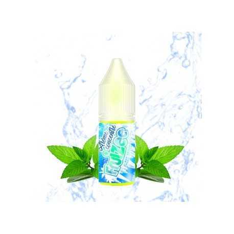 Concentré Icee Mint 10ml Fruizee