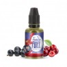 El Lovely Oil Concentrate 30ml Fruity Fuel de Maison Fuel