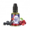 The Lovely Oil Concentrate 30ml Fruity Fuel by Maison Fuel
