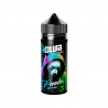 Panda 50ml - El Club - Knoks