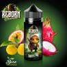 Animal renascut Exotik Frog 50ml