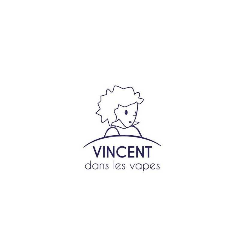 VINCENT DANS LES VAPES